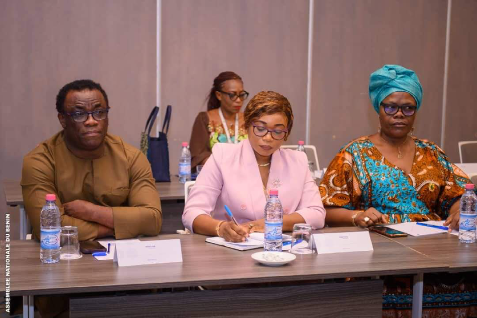 Réunion inter-sessionnelle du Réseau des femmes parlementaire de l’APF : Un plaidoyer pour la lutte contre l’endométriose