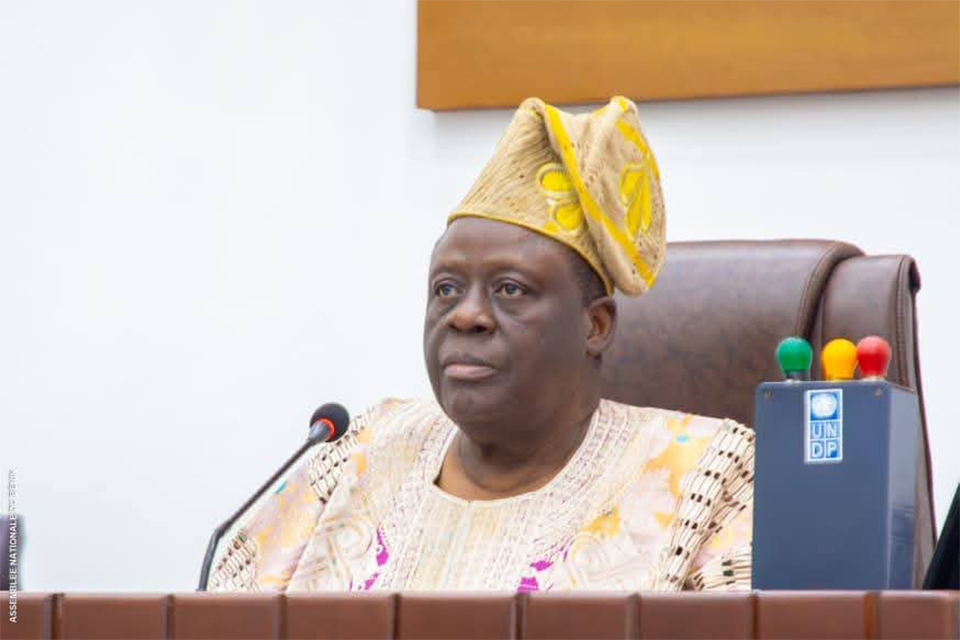 Assemblée nationale : Les lois organiques sur la Cour Constitutionnelle et le Conseil Economique et Sociale modifiées